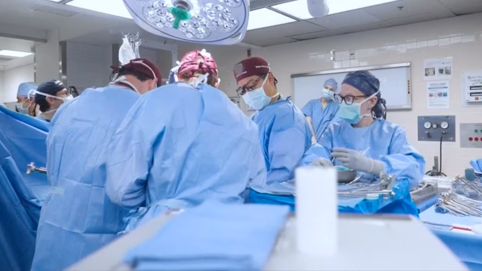 Video: Pig kidney transplants to be expanded to humans