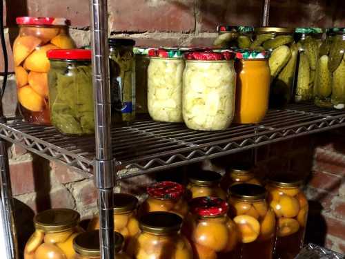 Home canning — useful or not: what you need to know