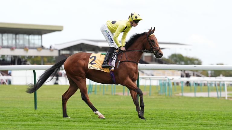 Haydock: Bow Echo targets Classic success after Ascendant Stakes strike