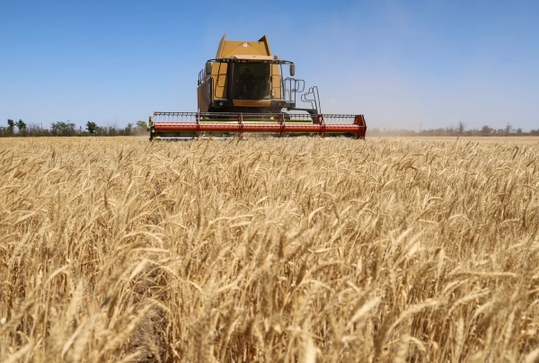 Abundant Yields Curb Famine: Lingering Obstacles