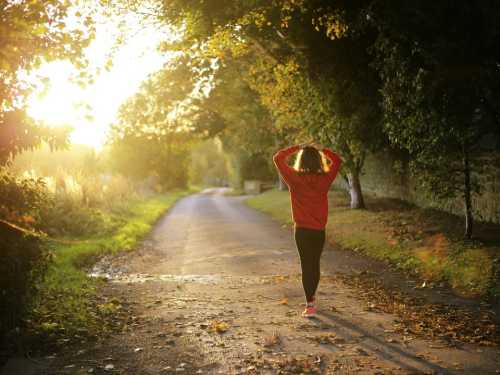 How 30 minutes of exercise a day “reboots” your metabolism