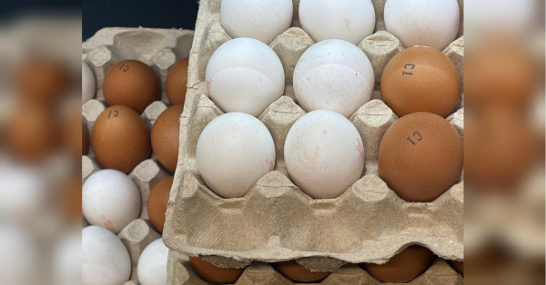 Ukrainian eggs are exported: why is this bad for Ukrainians?