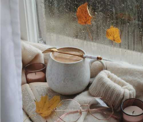Rainy books that will warm you up in bad weather
