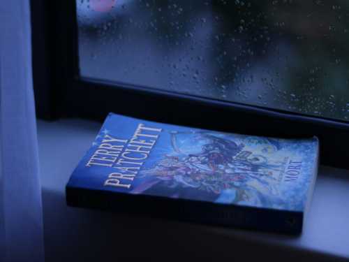 Good books for rainy, cozy autumn evenings