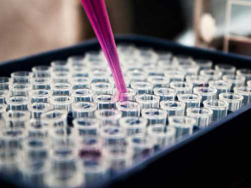 Hope in the fight against cancer: technology created that teaches the immune system to attack tumors