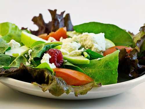 How diet changes gut bacteria and affects Alzheimer's risk