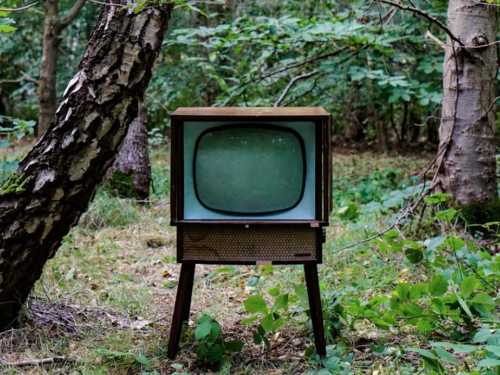 Face your fears: 7 films and TV series about survival games