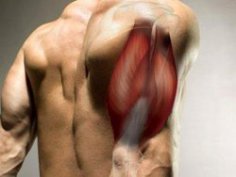 7 Essential Tips for Gaining Muscle Mass