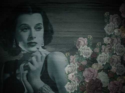 How a Hollywood actress invented the technology behind Wi-Fi and Bluetooth