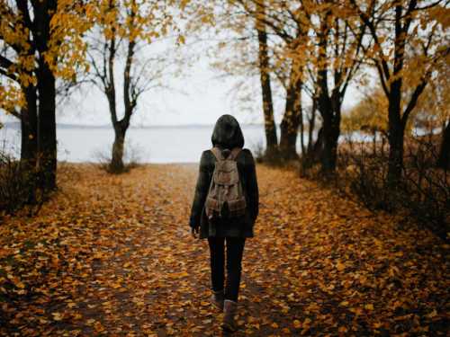 I walked 10,000 steps a day for a whole month, and I'm telling you how my well-being changed.