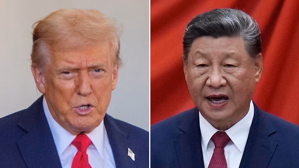 Decoding the Rare Earths Standoff: US vs. China