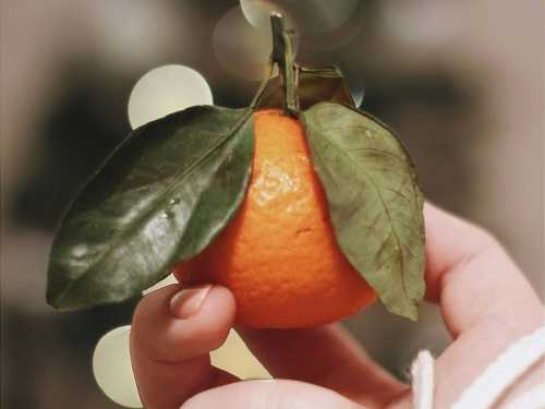 Scientists have found a new weight loss aid