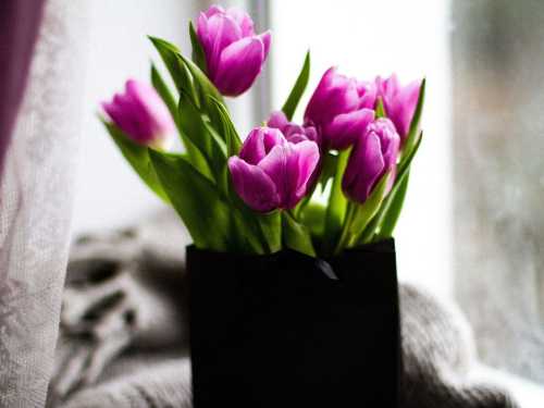Fraudsters give flowers for nothing — we tell you about the fraud scheme