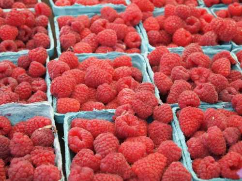 Raspberry: can our favorite berry become a protector of our blood vessels?
