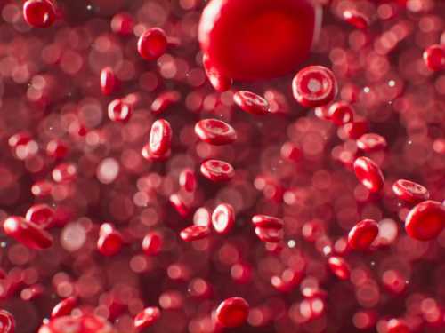 Scientists have found a protein that “rejuvenates” the blood