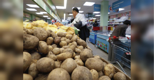 How much will potatoes cost in winter: Ukrainian experts gave a forecast