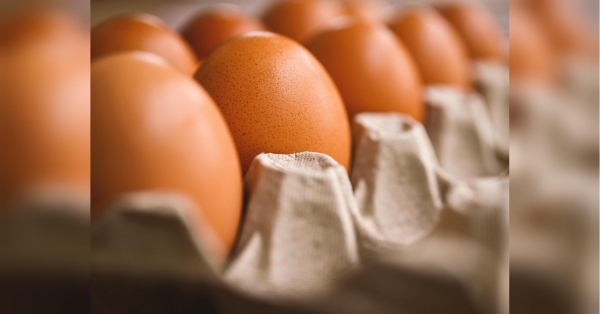 Egg prices will rise sharply: expert warns of jump in egg prices due to blackout