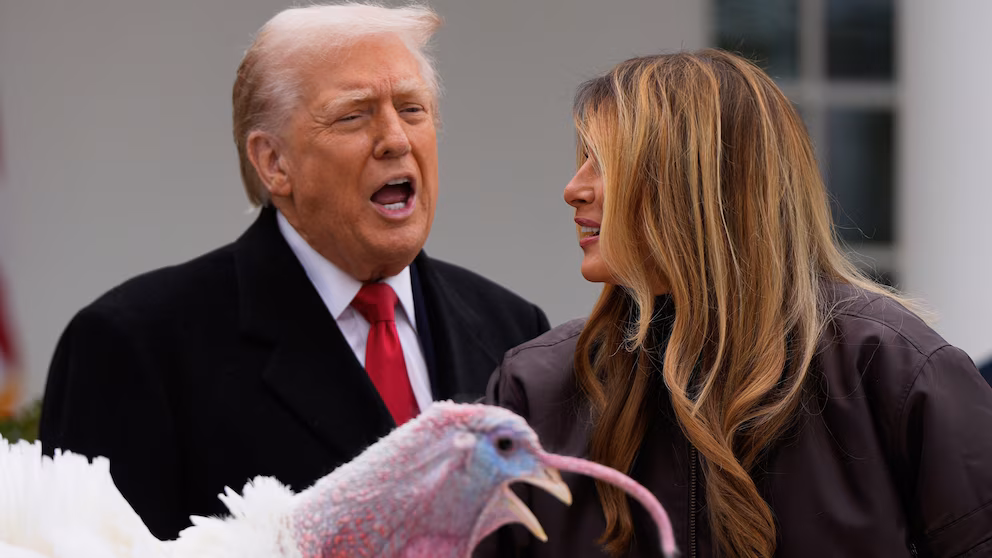 Trump’s Thanksgiving bird reprieve gets partisan, yet Waddle and Gobble live.