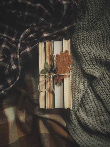 Books that will help you survive the autumn blues