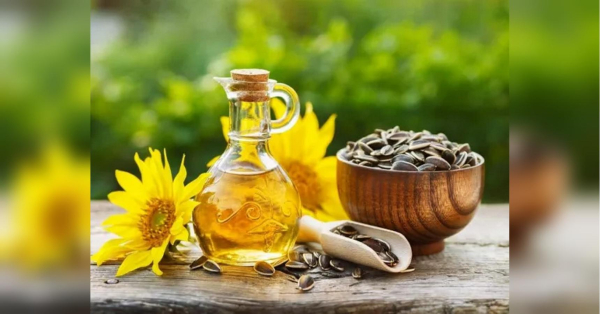Sunflower oil is getting more expensive in Ukraine: how much does it cost and what price can it reach?