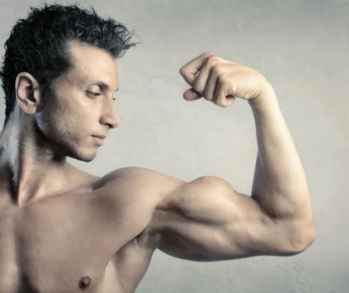 How to pump up your biceps