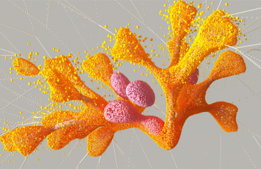 Штучний інтелект, прогнозування генетичних хвороб