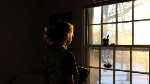 Minus the groom through the flowerpot: how a withered violet saved a girl from marriage 9