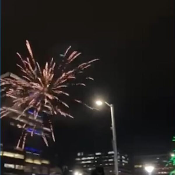 Seahawks Fans Exult After Super Bowl Victory (Video)