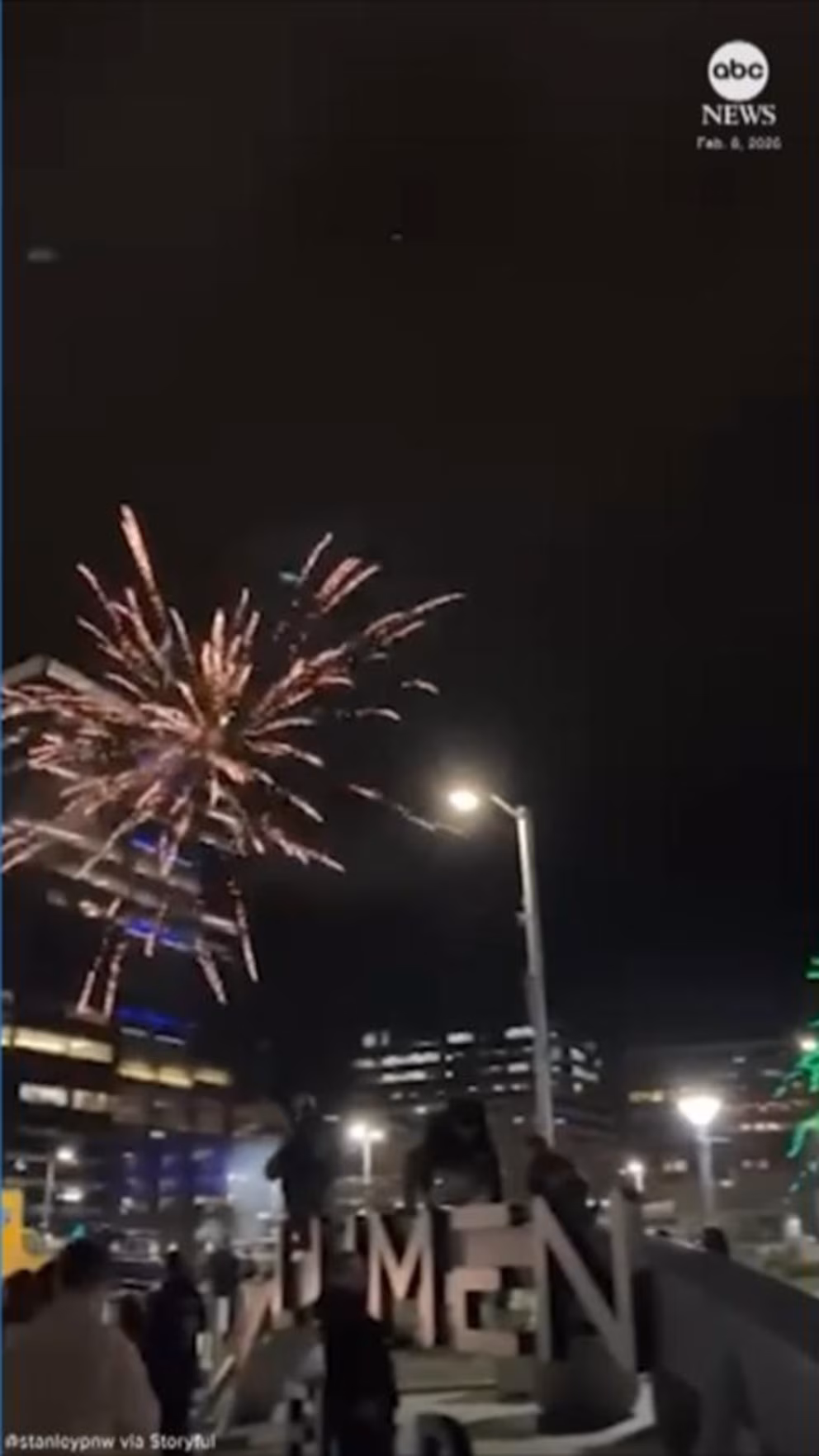 Seahawks Fans Exult After Super Bowl Victory (Video) 2