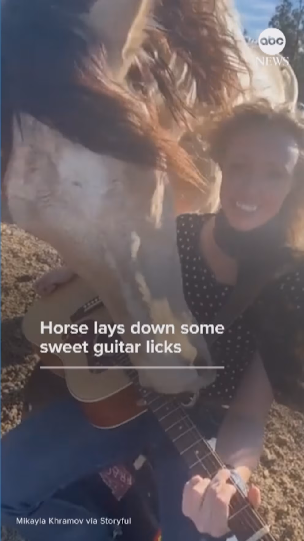 Horse shreds guitar.