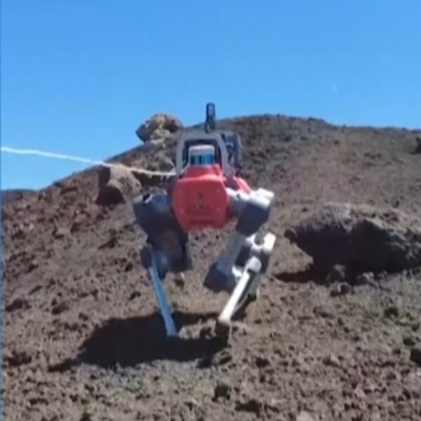 Robot Canine Explored Etna’s Hillsides