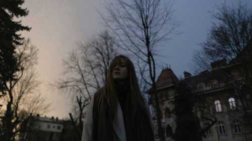 Well, why do you need these flowers? — says the man on March 8