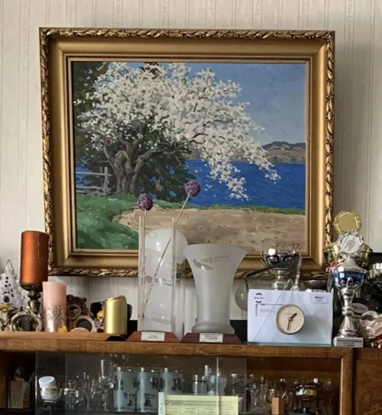 A valuable painting was stolen from the house of a two-time Olympic medalist who supported Geraskevych (photo, video) 4