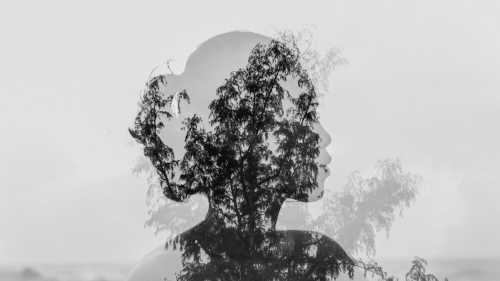 What parents who regret their choice are silent about