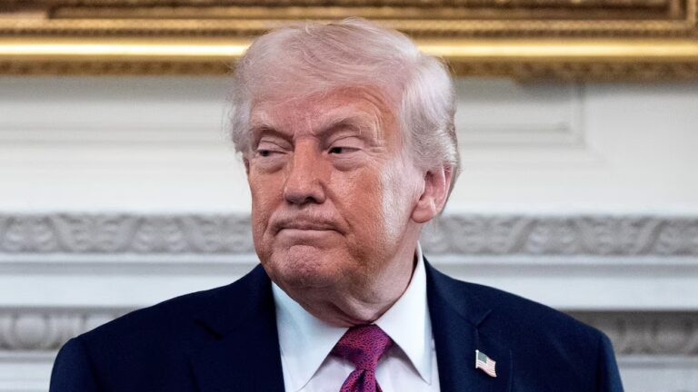 Judge Demands Trump, Justice Department Explain Merits of IRS Lawsuit 13