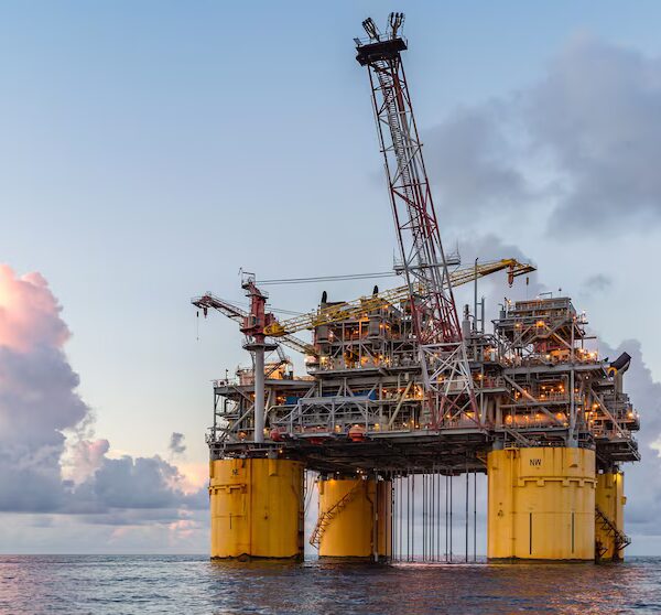 Fossil fuel work in Gulf spared from endangered species rules.