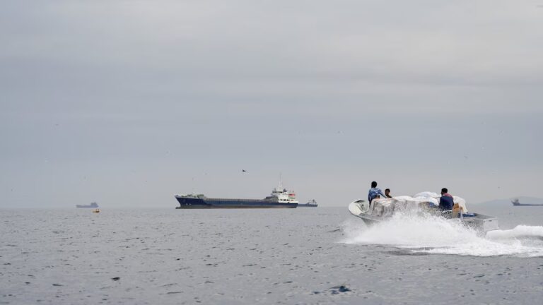 Trump and Iran assert Hormuz Strait is "fully navigable." The Current Understanding. 11