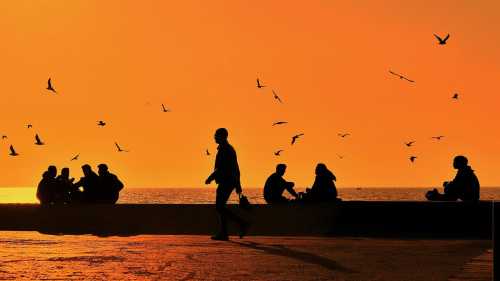 If God Shuffled Cards Blindly, or Why Ignorance Is Our Only Chance for a&hellip;