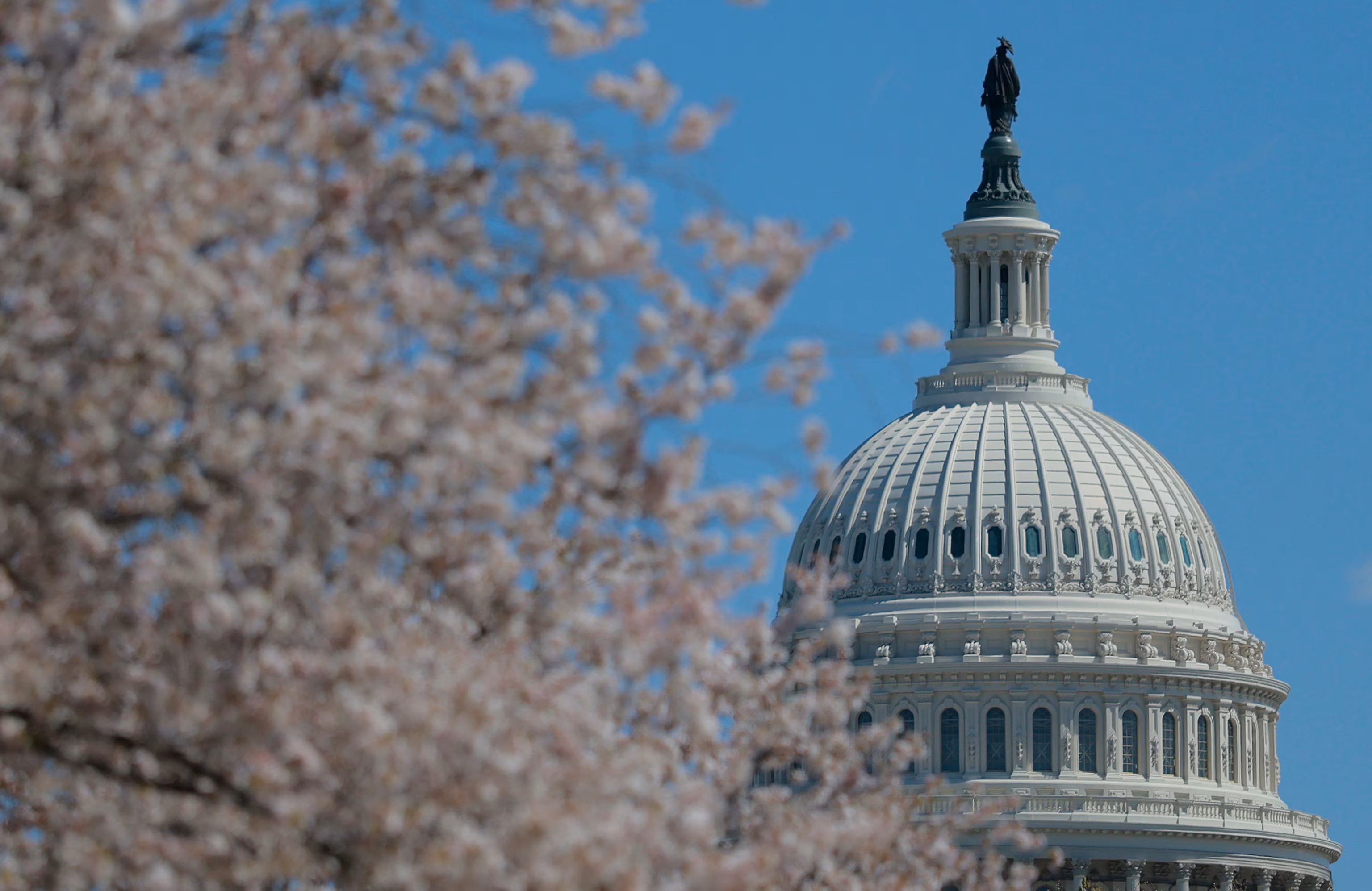 Johnson, Thune unveil proposal to halt DHS closure; path ahead uncertain. 6