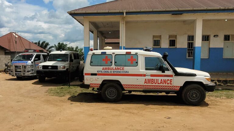 African Ebola Crisis: WHO Declares Global Health Alert 7