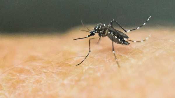 First West Nile Virus Infection in Humans Confirmed in Texas for the Year