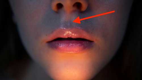 The dimple under the nose: why is it needed – and why evolution didn't&hellip;
