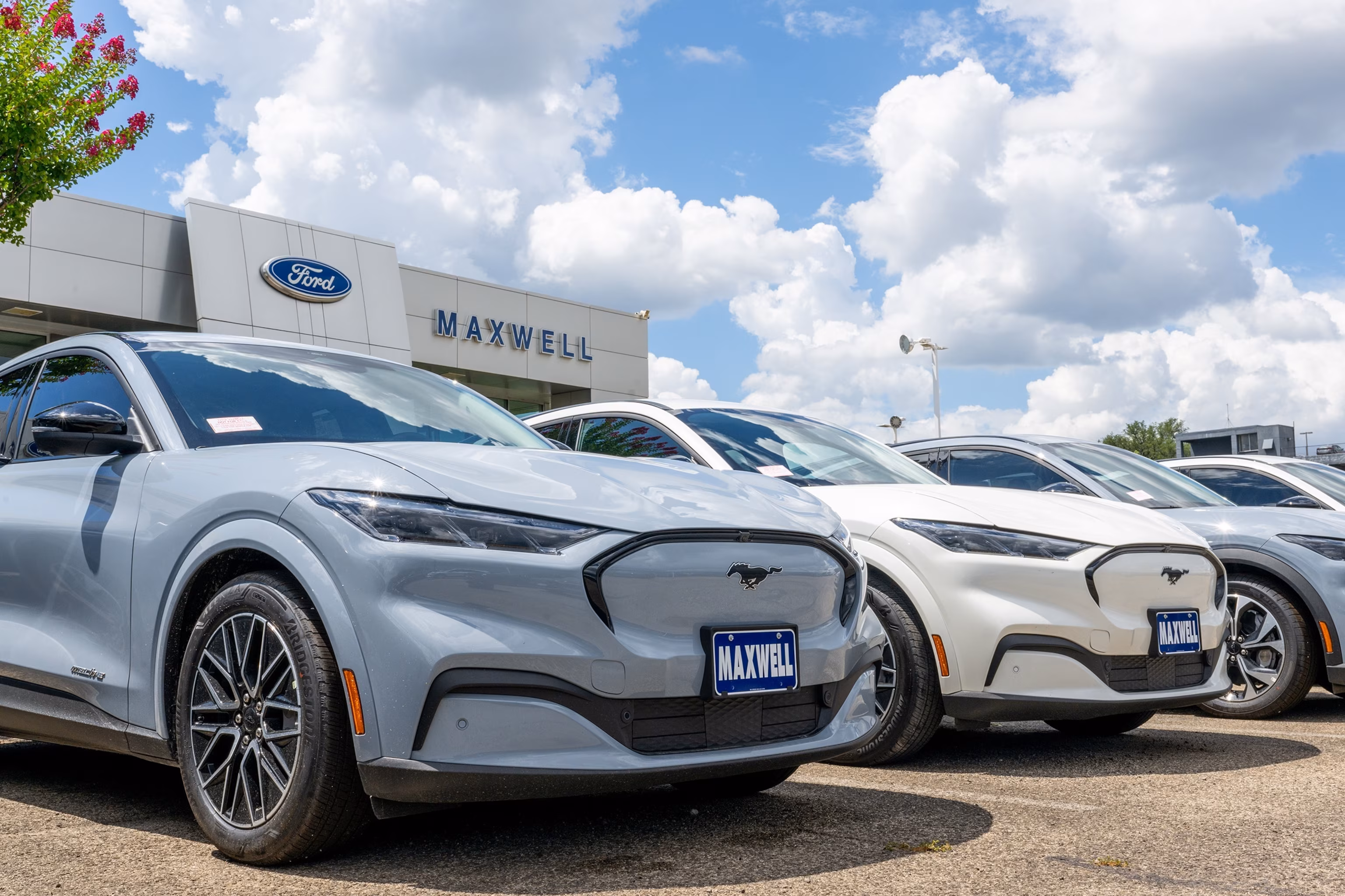 Fuel cost woes? Experts tout pre-owned EVs. 6