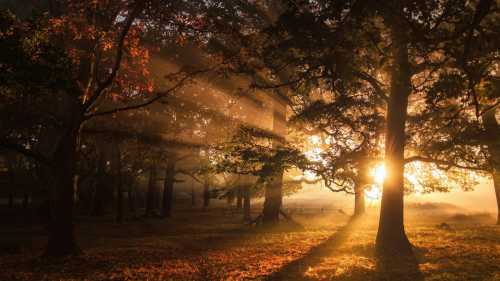 Start your day with this text and your life will be filled with new&hellip;