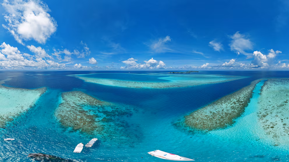 Final Divers Found in Maldives, Confirms Diving Group 3 Final Divers Found in Maldives, Confirms Diving Group 3