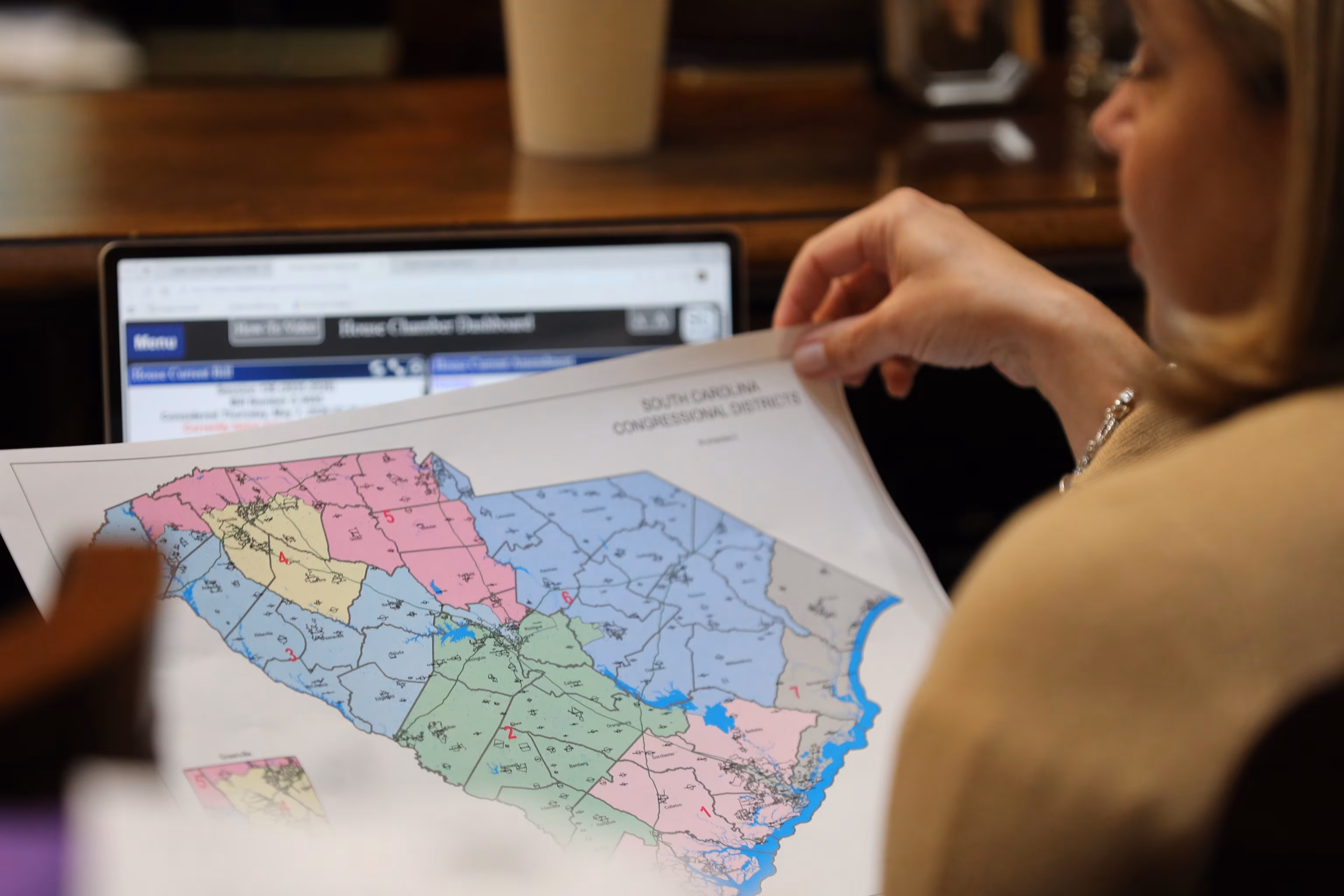SC Senate Stalls Trump-Supported Congressional Redistricting Plan 5