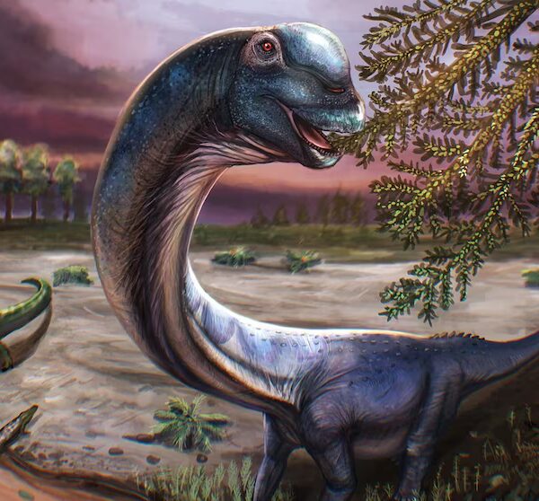 Colossal New Dinosaur Unearthed in Thailand by Scientists
