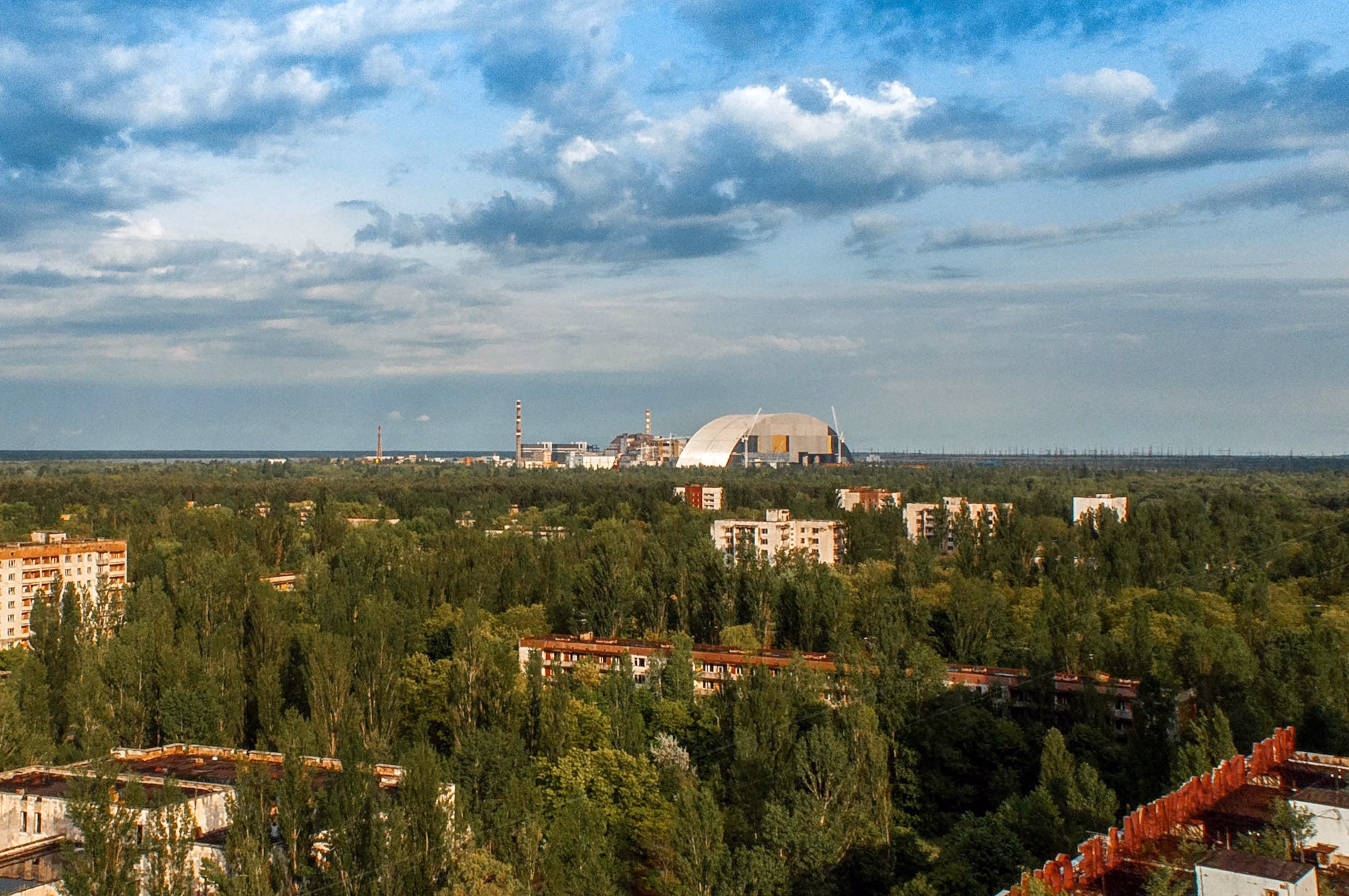 Chernobyl Area Teeming with Big Wildlife, Researchers Find 8