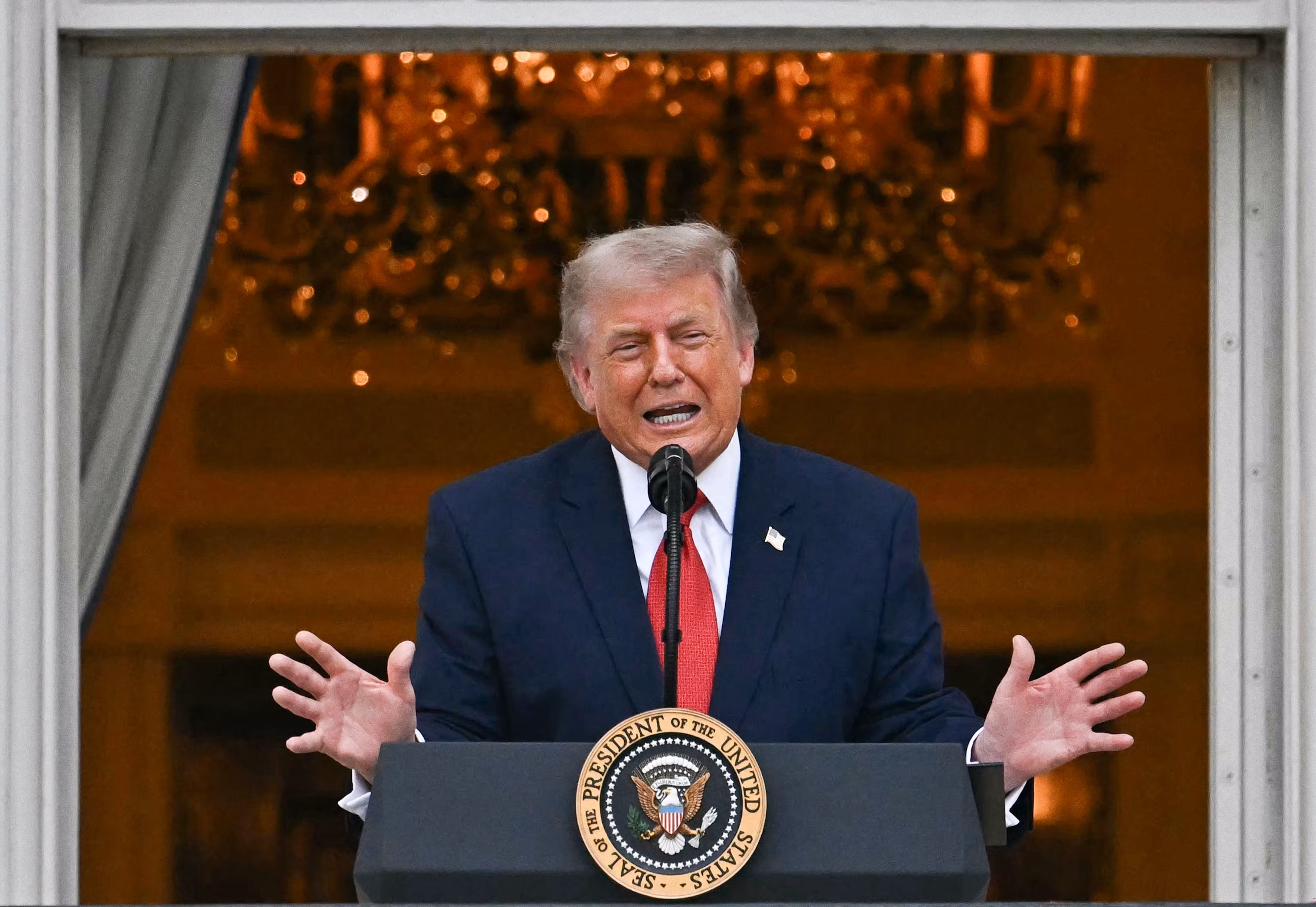 Trump's Intervention and Other Key Primary Results 7