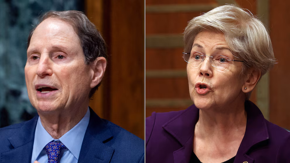 Democrats Seek Clarity From Treasury Chief on Trump's IRS Accord 3